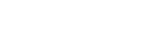 White Experience Logo